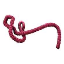 Ebola2 
